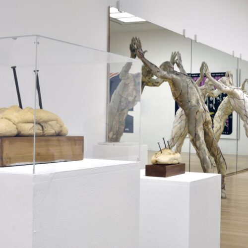 Up Close, postav izložbe